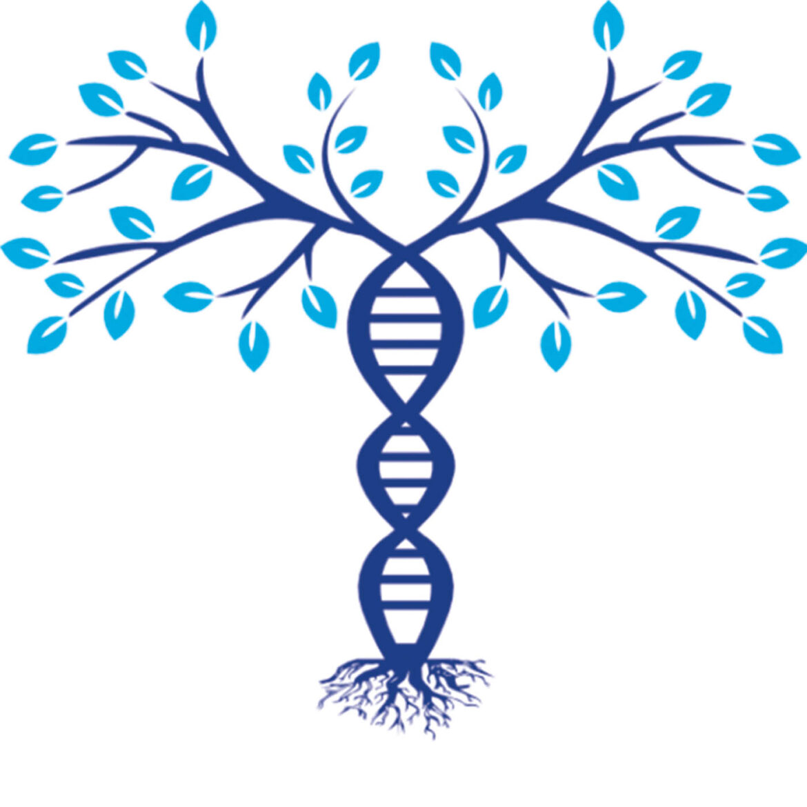 imgbin_family-tree-dna-genealogy-phylogenetic-tree-png