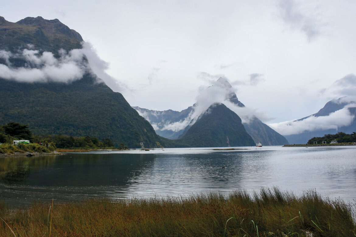 Novy_zeland_DSC_8745_u