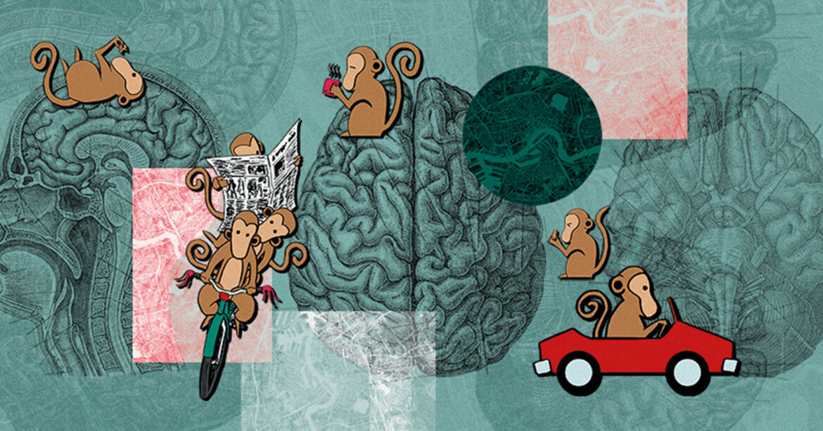 Mozek_mensana_nebo_opice_Monkey-Brain_hero_850x446