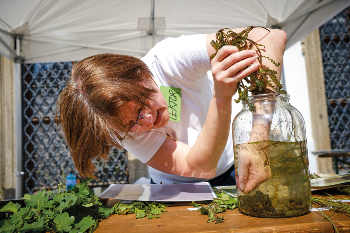 detska_vedecka_konference_xt3o7521_u