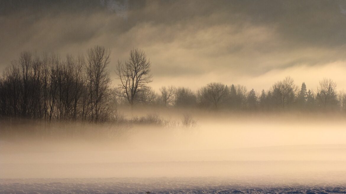 fog-1873715_1920