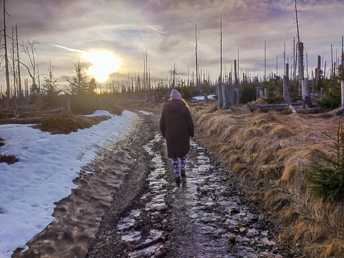 Pobyt_na_Sumave_Martin_Javorsky_IMG_20230322_171047_HDR_u