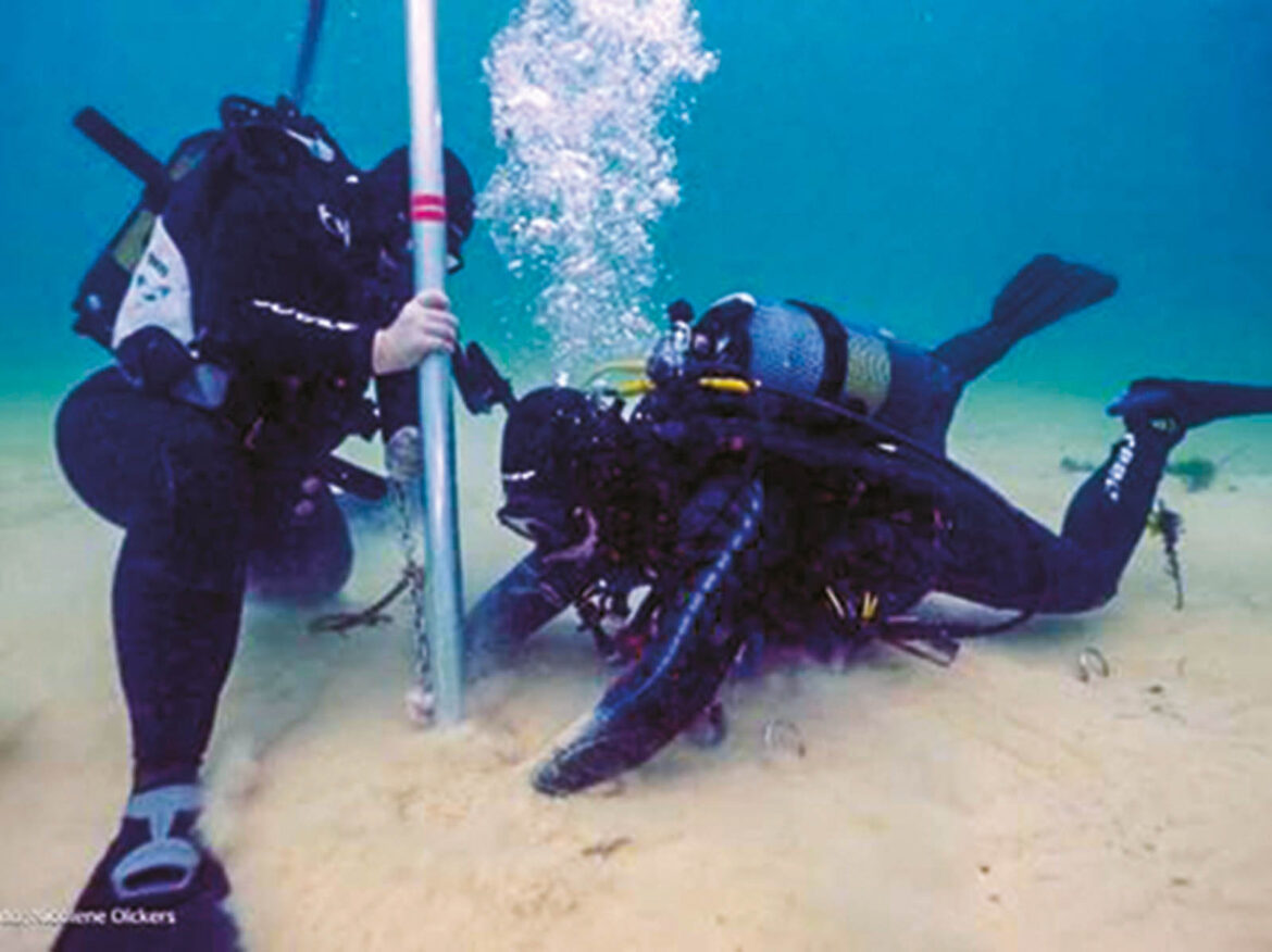 MWJ_shark_Mensa-ZA-Chronicle-2023_06-Jun_4_u