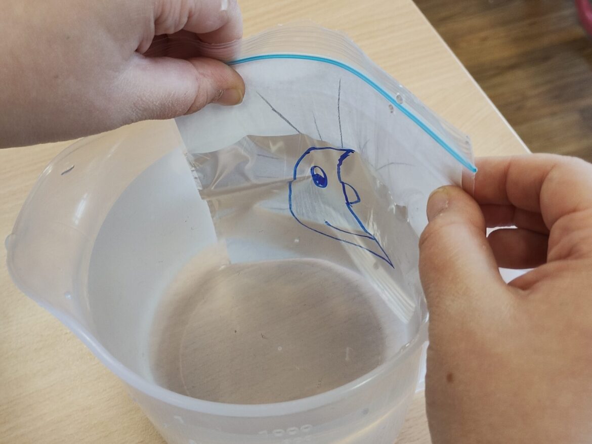 Badatelska_inspirace_IMG_20231102_135844709