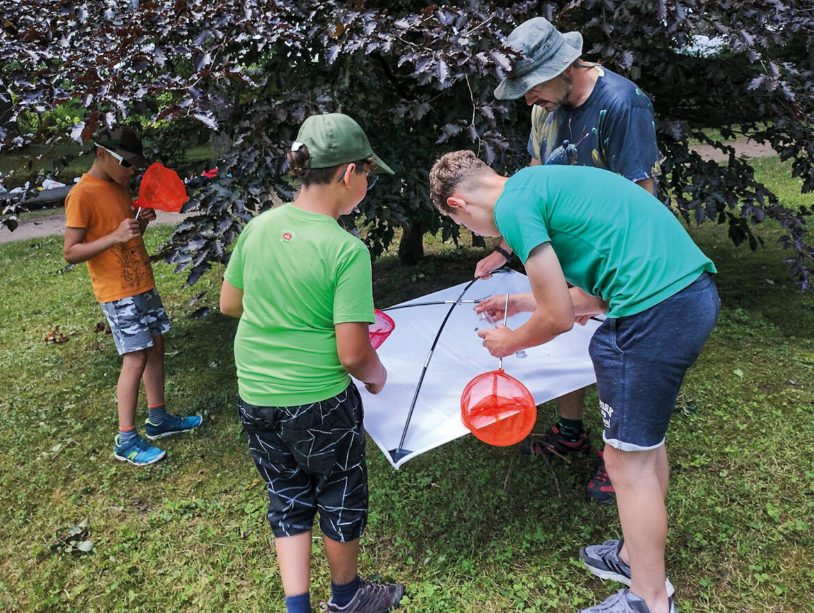 Fotoreportaz_LogIQ_vyzkumII_u