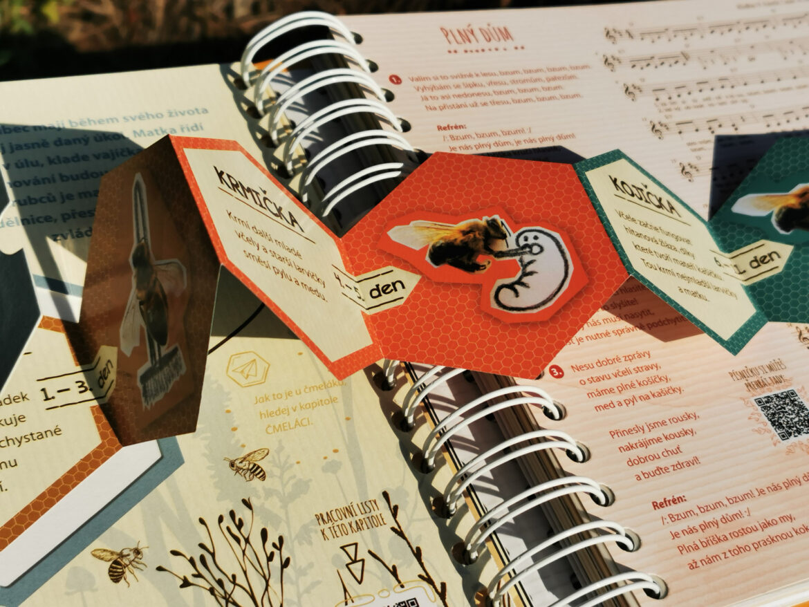 Vcely_1026302831_4_4058153527